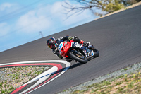 cadwell-no-limits-trackday;cadwell-park;cadwell-park-photographs;cadwell-trackday-photographs;enduro-digital-images;event-digital-images;eventdigitalimages;no-limits-trackdays;peter-wileman-photography;racing-digital-images;snetterton;snetterton-no-limits-trackday;snetterton-photographs;snetterton-trackday-photographs;trackday-digital-images;trackday-photos